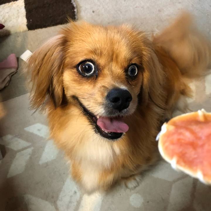 32a7515e b5c4 4559 af4f a7ea3076e8b6 1532038357696