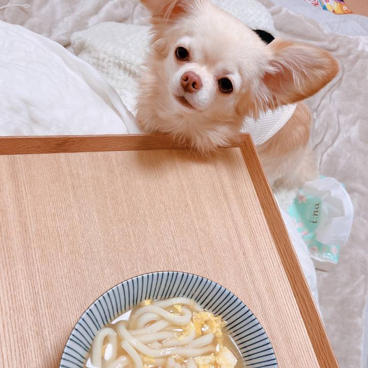 32a7709a d87d 4841 8cc5 a3b7d5ffb28e 1671264077416