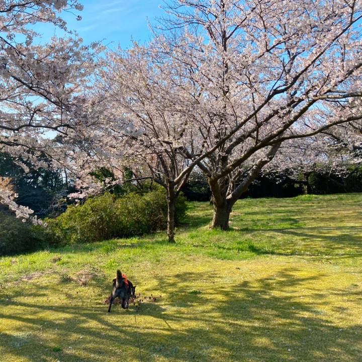 32a795b0 c271 459e add8 3b9ac347d3e2 1586653510401