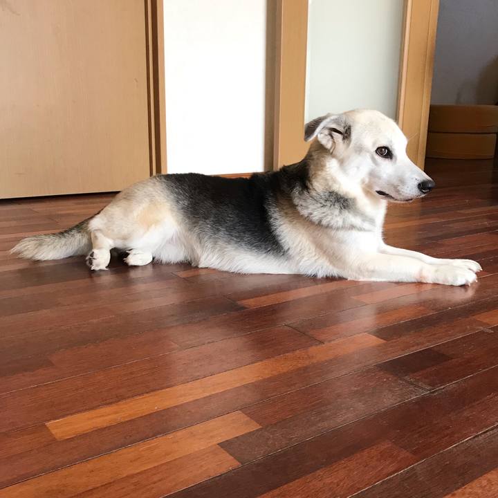 32a7c44e c11d 4eb1 aff2 afad9879ae77 1587558680886