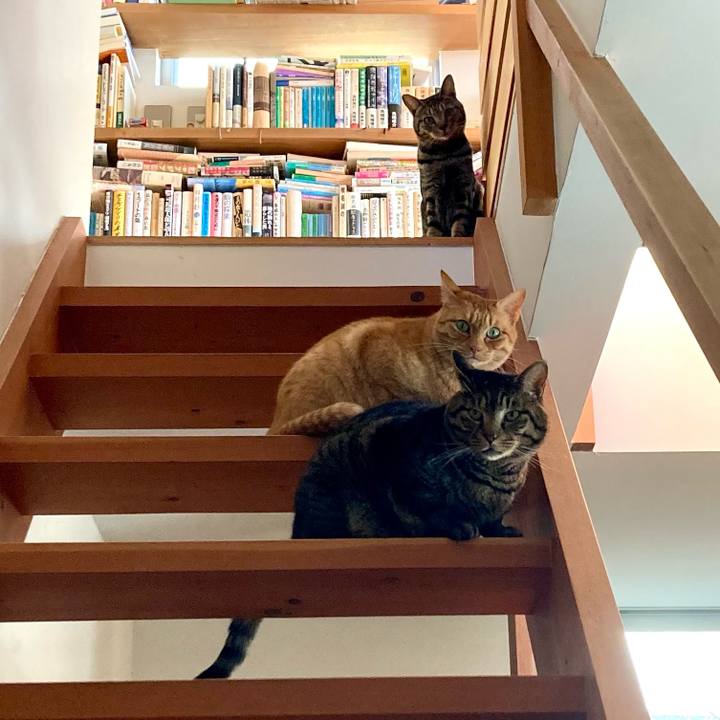 32a7c81f 3623 496e a75e 293c404b1875 1708732714467