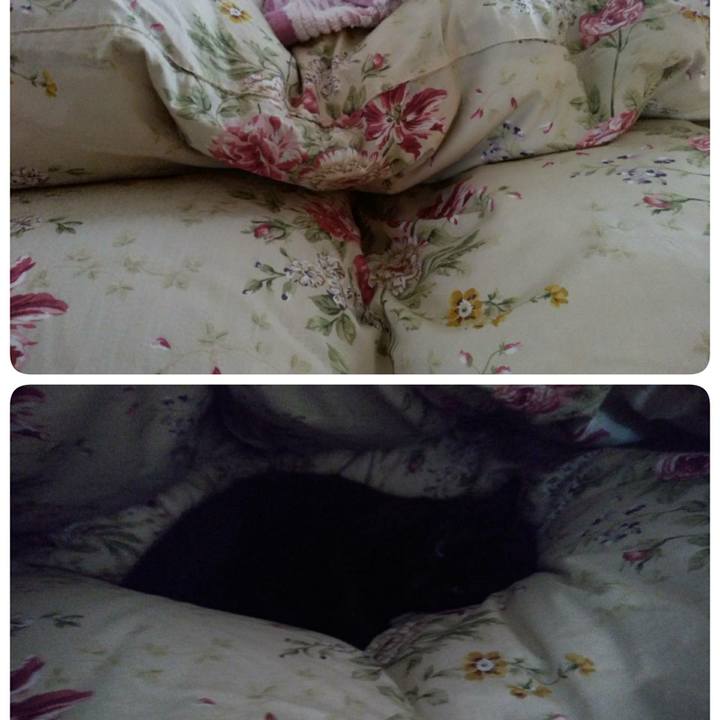 32a7c8a6 6415 468d 97a4 5abea4689a82 1603499159343