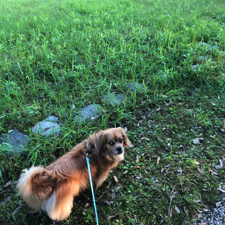 32a7e406 0884 4af0 a5cb 7ac8c99e2ec3 1560894010496