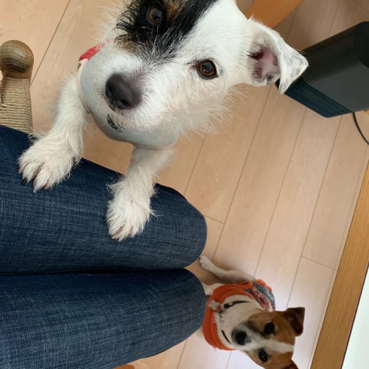 32a7e74b 19c1 42f8 9170 6b539e129bab 1548371231966