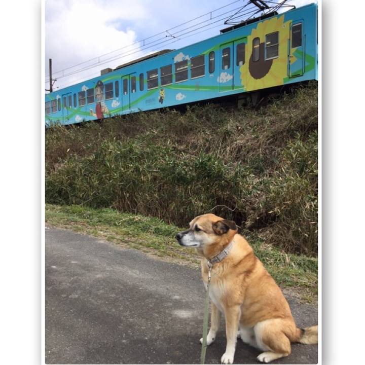 32a80e48 0eb5 44b6 ab9b 2ecb126ebd1c 1584260565188