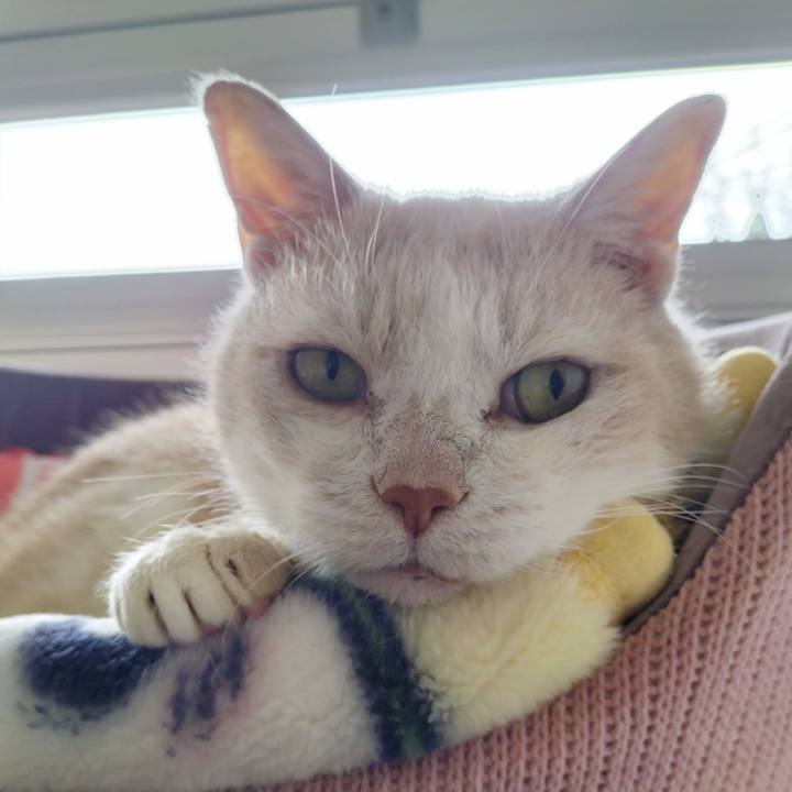 32a80f2e 0ce6 4b84 975d 3c6be1771da8 1687751036221