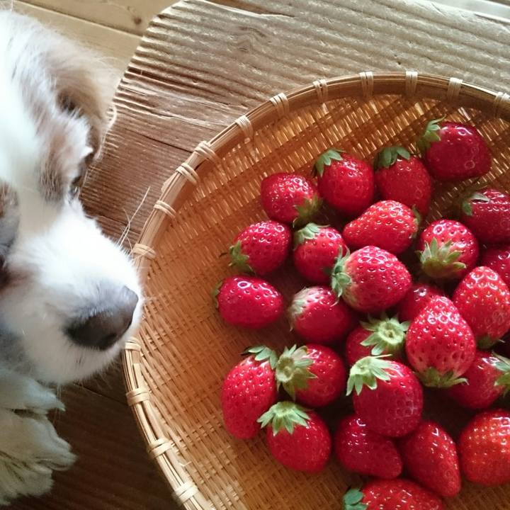 32a86b8f d12b 4261 8a10 b2993c23e50c 1551955174291