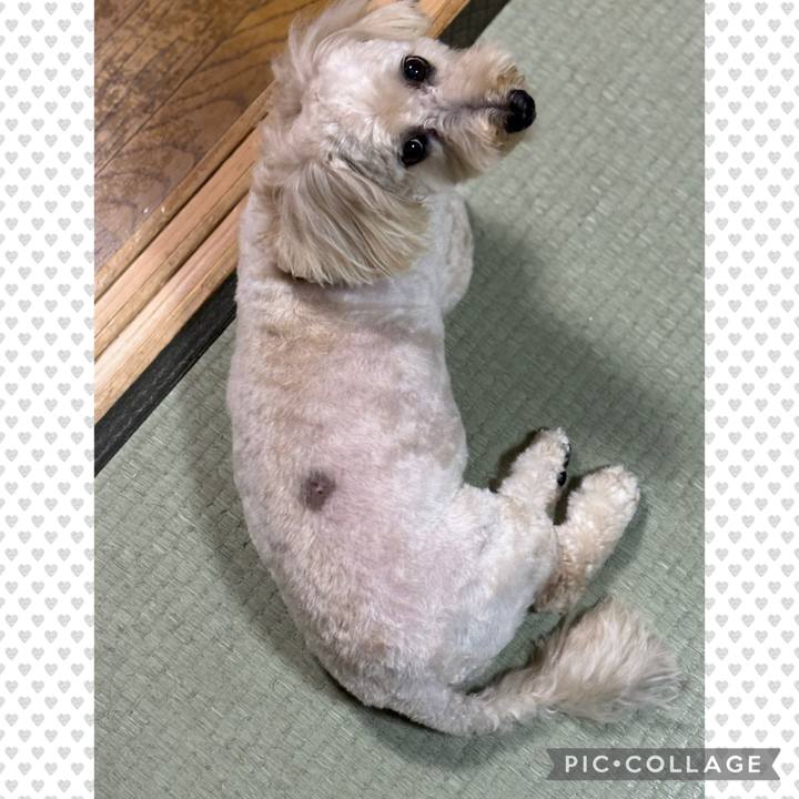 32a88025 0f22 4856 b463 1a0f0d2bd509 1760402311672