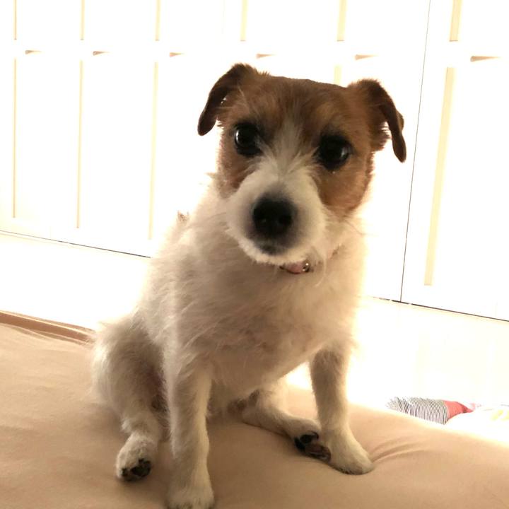 32a88a3d a4d8 41a5 806c 88dd3a568da1 1616497745255