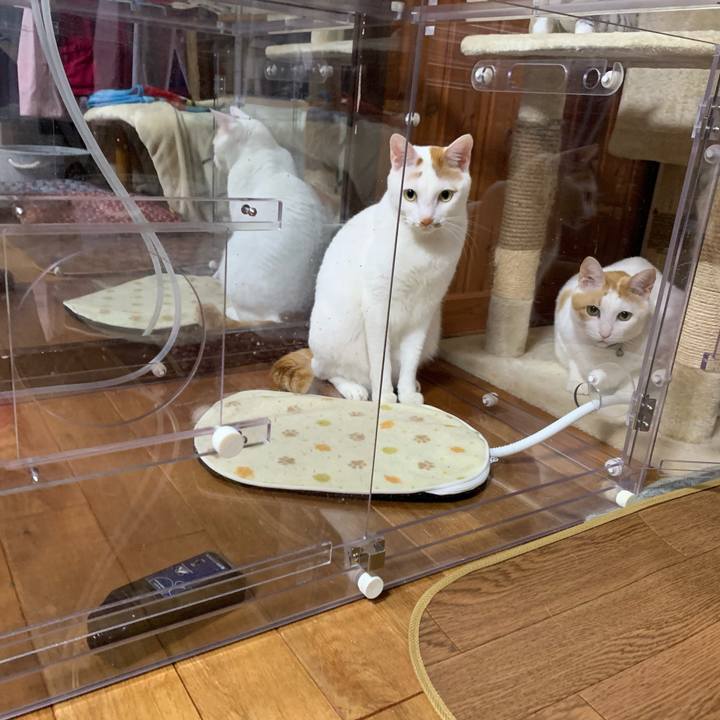 32a895f2 b004 4f2d 8d0b 3f8f86418ca0 1579882185179