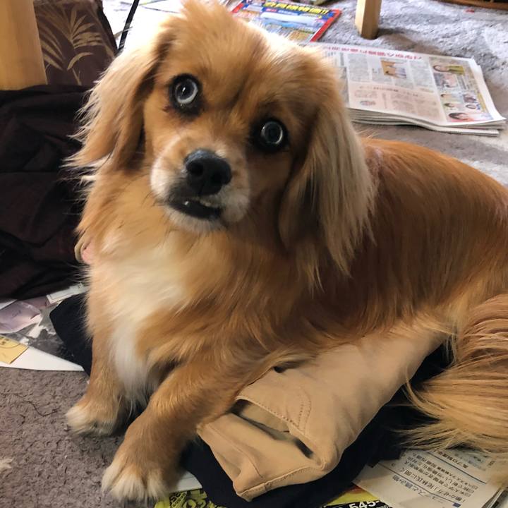 32a8a4d1 d7e3 40ae 896d 2a67ecd4371e 1527201938122