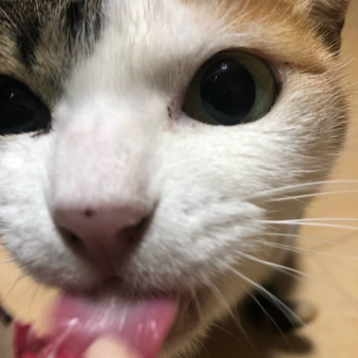 32a8d8ef 3671 45ca 9347 3a001dbb4eeb 1609169916017