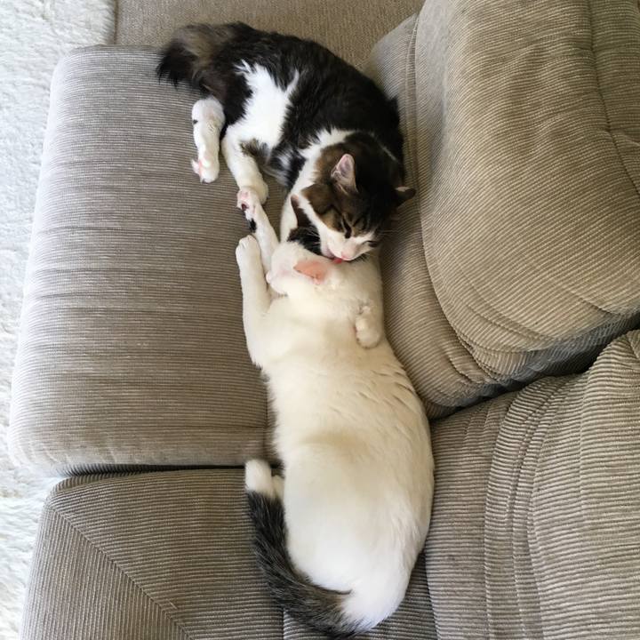 32a9137e 30c1 4203 8121 d4b23c1c7231 1669331809664