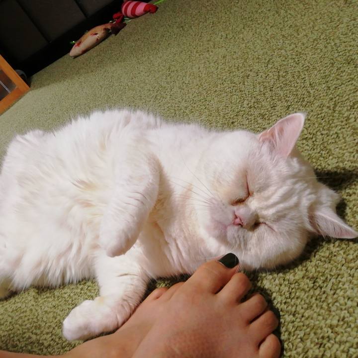 32a91478 46b3 4d1b bbdc 47fd47e472df 1691057007126