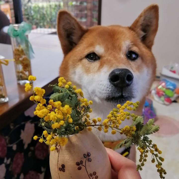 32a98c37 a52a 43b1 b93c bd9c0823ab32 1615185715291