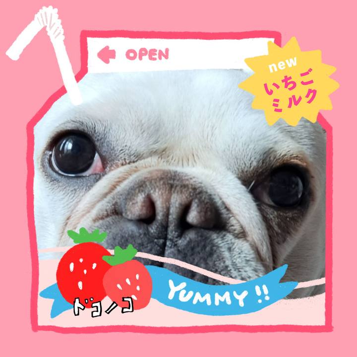 32a99fe7 f27c 4bba b2ff 0a0661971866 1711011197140