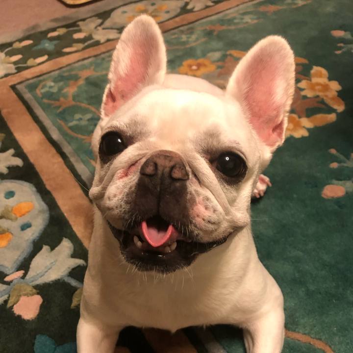 32a9ca8a 6794 4993 a800 917c52609641 1601556435142