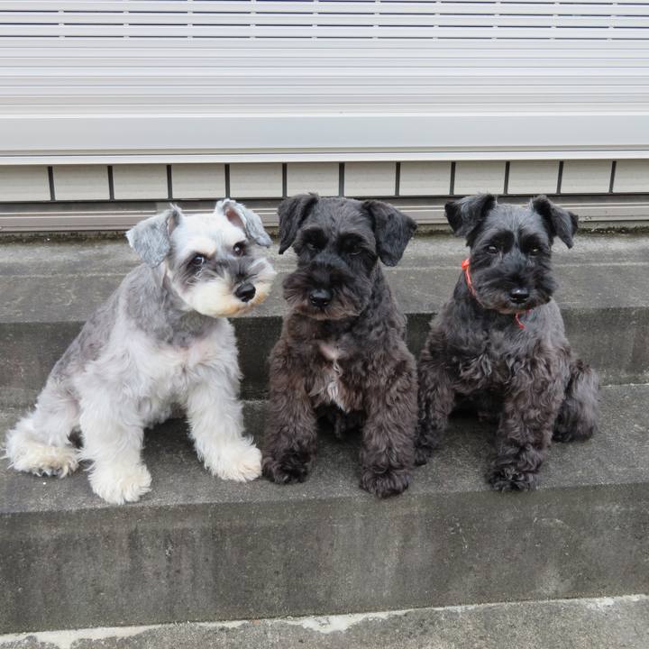 32aa238f b78e 4850 b5c9 f4cd2d9cdabc 1606548995698