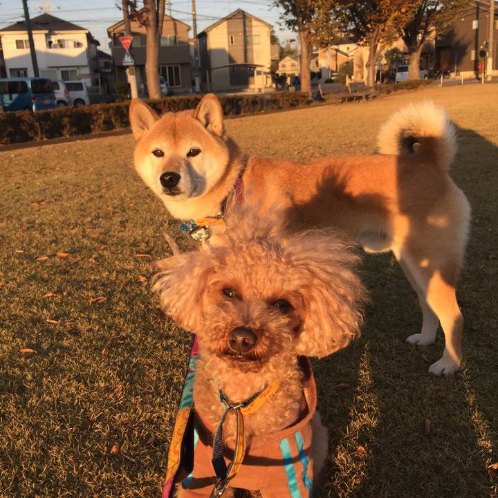 32aa3a1a b7fb 4441 86ba 012d54bc77bc 1510216853369