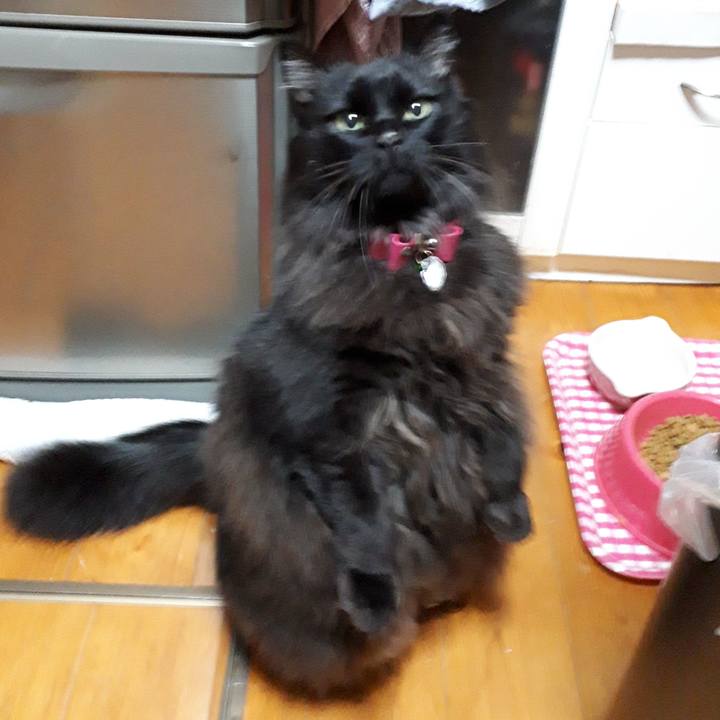 32aa75ca f098 4855 8d30 c57e3d4af9dd 1522088321932