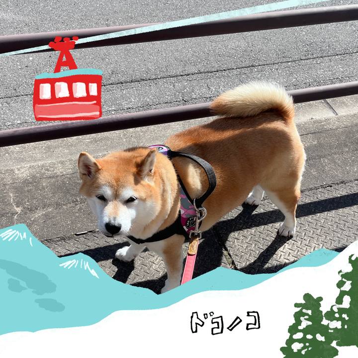 32aa80bd 810d 4c02 a22c 81dfe3a145ac 1706756414809