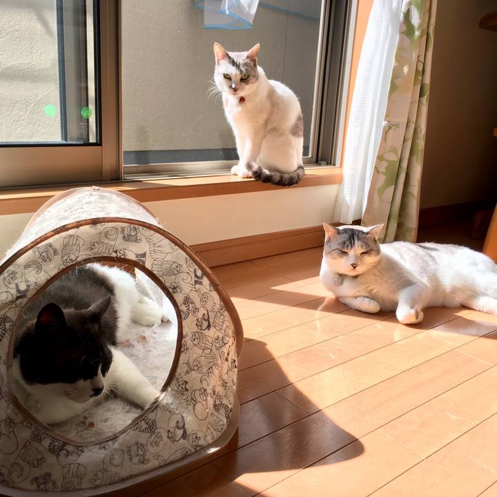 32aa8a48 2b82 4ef3 98f3 f975d8875e2a 1522369185741