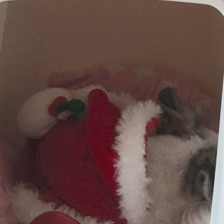 32aad3db cbb6 4231 b25f d4417126e719 1513927483623