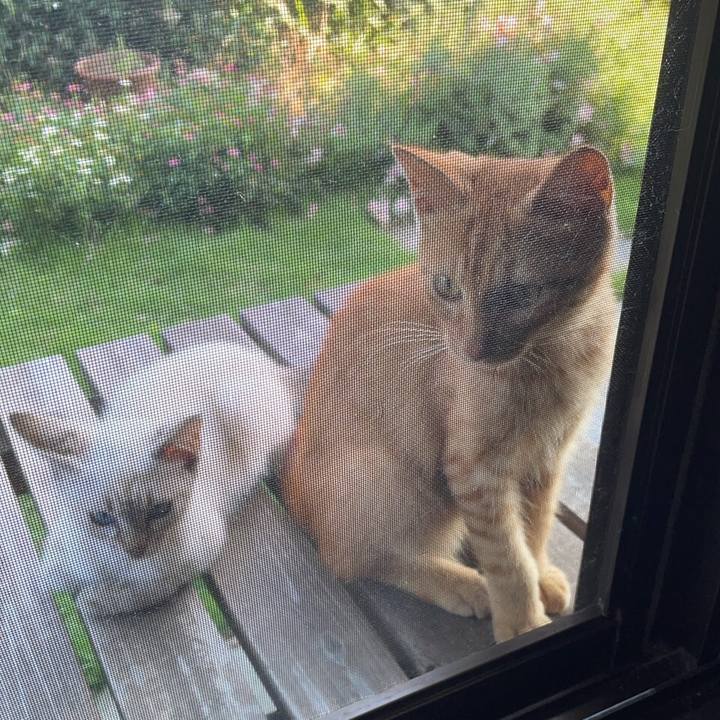 32aae7aa 1b64 4a02 956d a27be60f5cf0 1726349668391