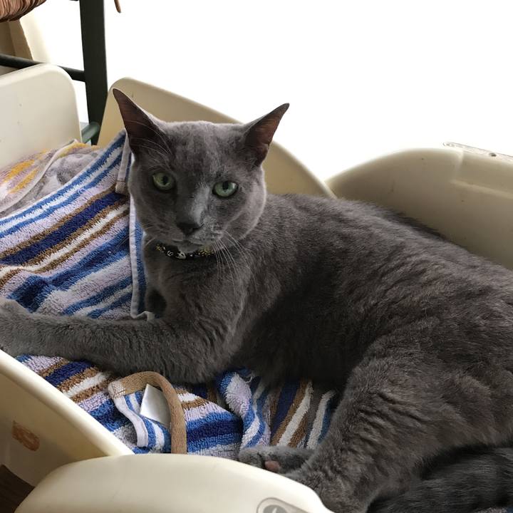 32aaf414 6dff 496f 8f9f bfd7a547595e 1562490048159