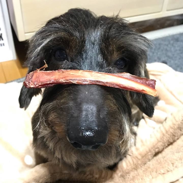 32ab1774 2b7d 4d2e 9131 9202ed07898a 1544882836197