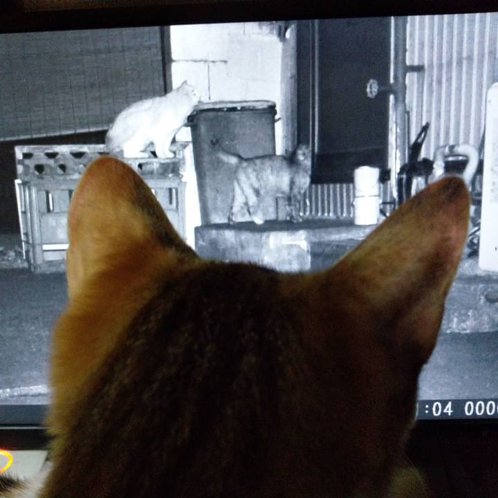 32ab1afc ffa5 4088 91e1 b31fa63db19c 1550066966713