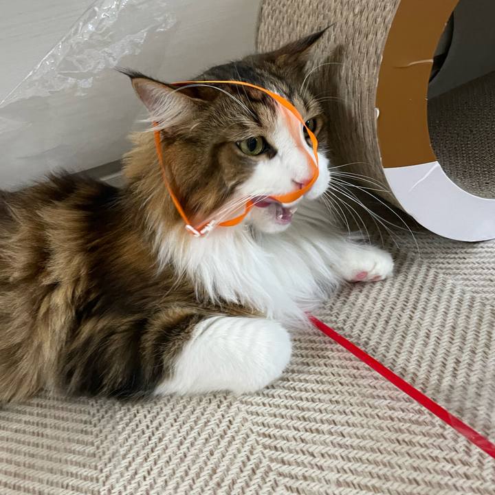 32ab344e f0d7 414e a4c9 dc72b8058fef 1667426338650