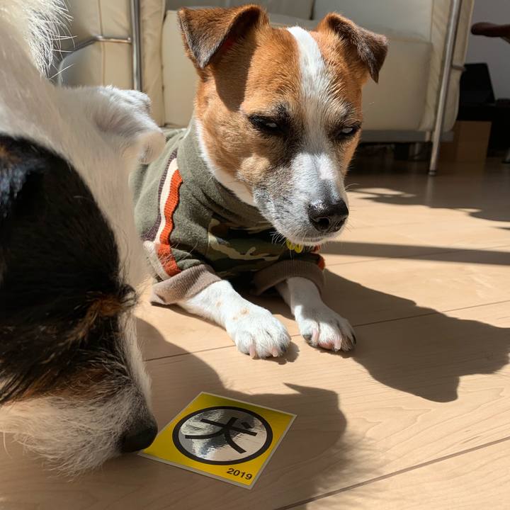 32ab4661 6c5f 48ac ac22 6a9c466d3ab2 1555388804247