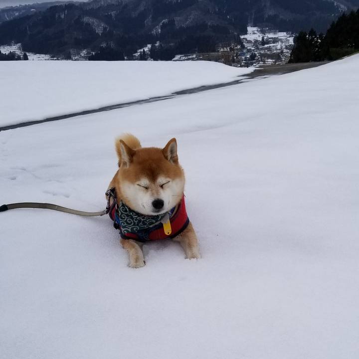 32ab5538 9bbe 46f8 8743 d16ac93aac09 1545466064228