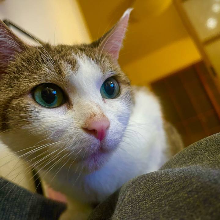 32abc36c 6f31 444e a0f7 fc885cfd8ec0 1743008435911