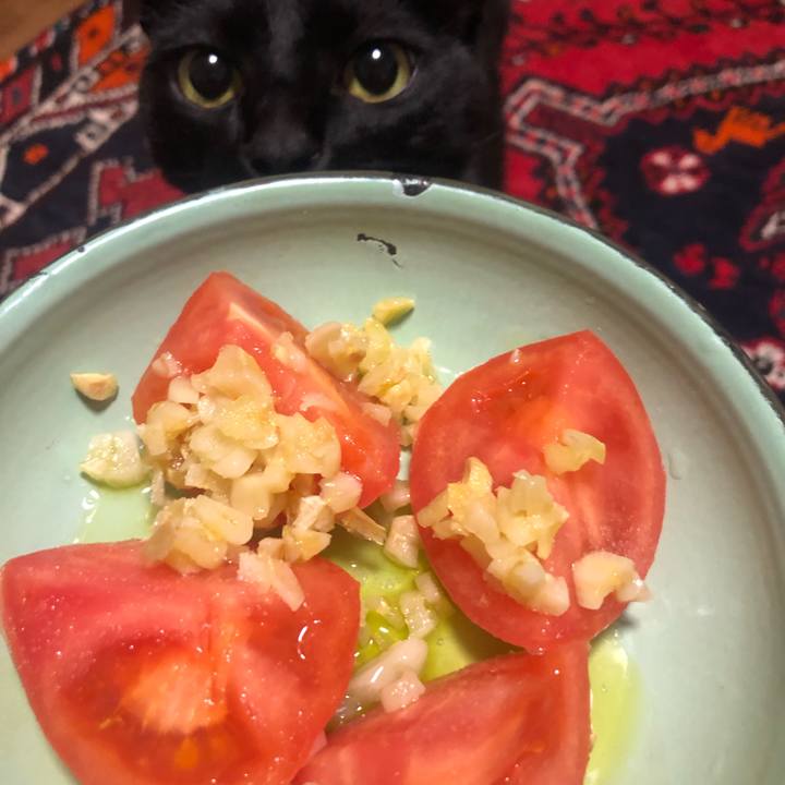 32abdf69 7f78 4260 aaf1 6f9f6b73f6bd 1648728671129