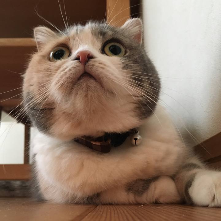 32ac191c a0d0 41c4 9288 3dfba2c01976 1538264387927