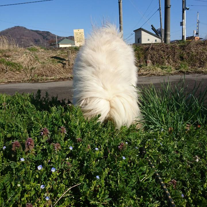 32ac4b65 3acc 4b9b bb31 80d4dbb4c142 1585904418843