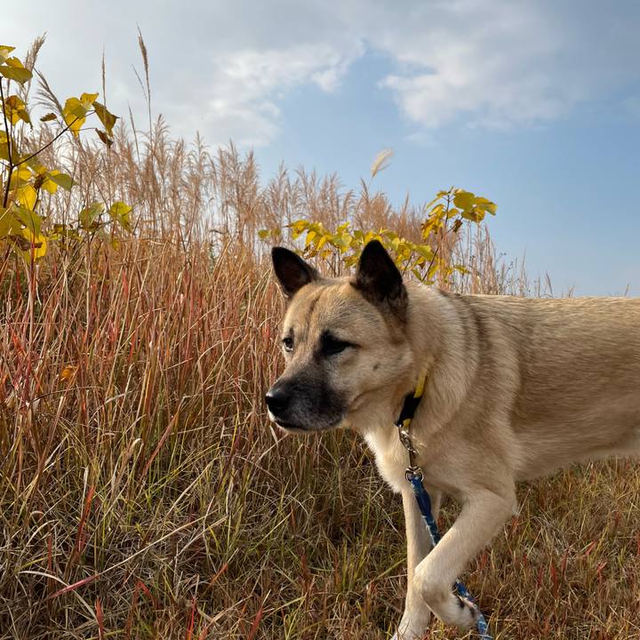 32ac632e 29f4 4857 bfe3 aa6e16957381 1639310503901