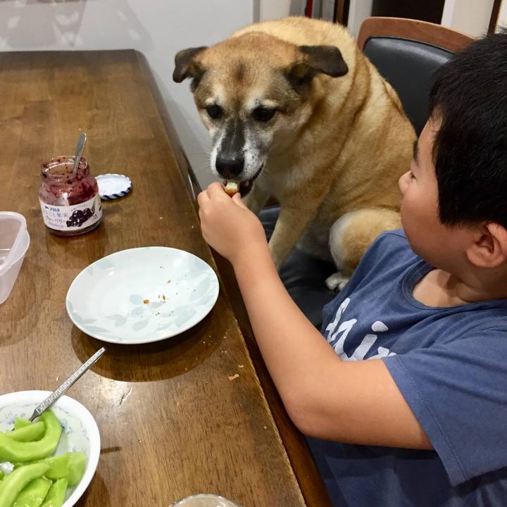 32ac697a 9cc6 4861 bb16 213bded8a388 1565820931510