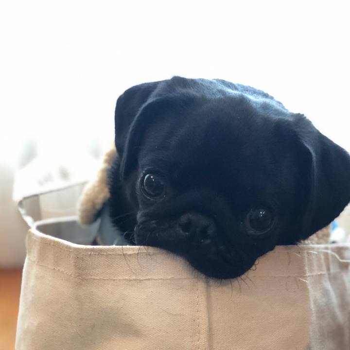 32ac8a66 d468 499a 8bfb 31e6c81c8c6f 1602298089205