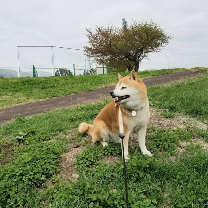 32ac916f 7b39 4d9c a2d7 2c87b792cb31 1651033784564