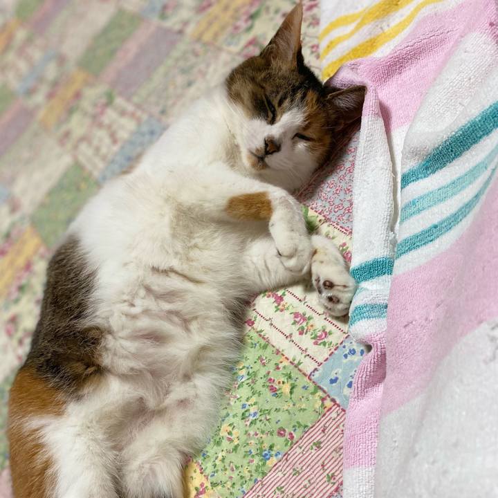 32ad1da0 2390 4483 bd4c 48ca105f4dda 1625152559437