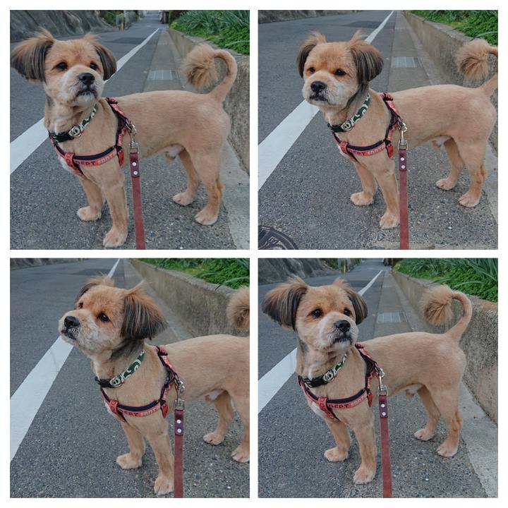 32ad4dc4 f74b 4447 b31e 40a7de011c22 1546942703164