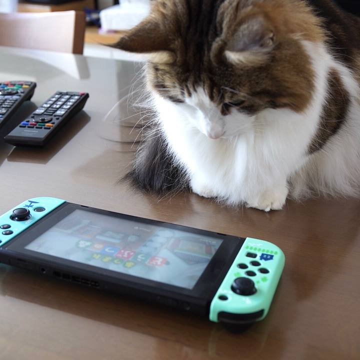 32ad7903 d010 4304 b609 d1d71a21076d 1640492038707