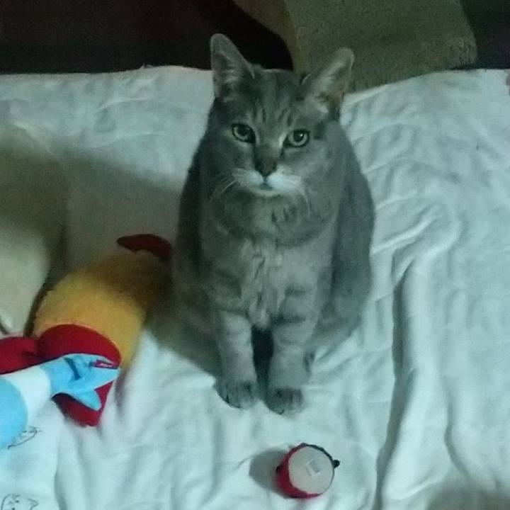 32adc345 1d49 4d2c 8683 7f307ce1ef17 1684708990252