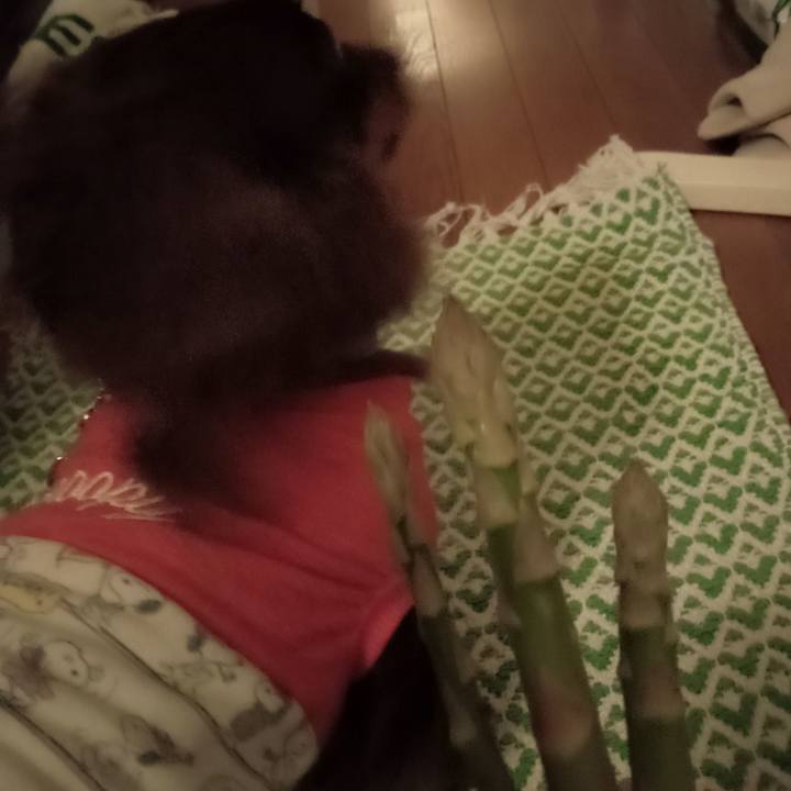 32adc346 1263 4f83 81f5 76108cb8250d 1772835413869