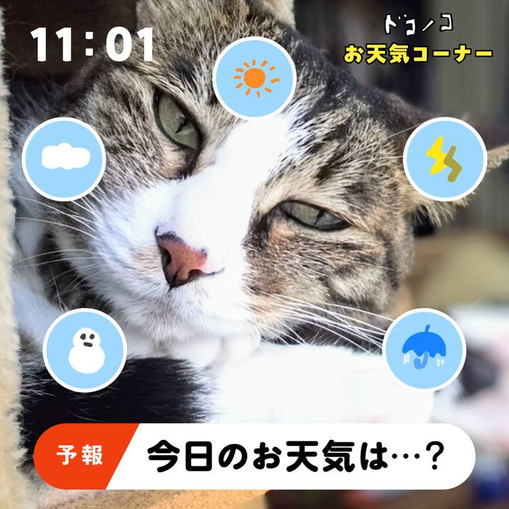 32adeb7d 955f 4ac5 8201 b5a56bd18275 1781946700061