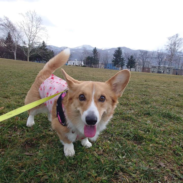 32adf793 b841 449f 97bd f6659f332cd4 1765087760708