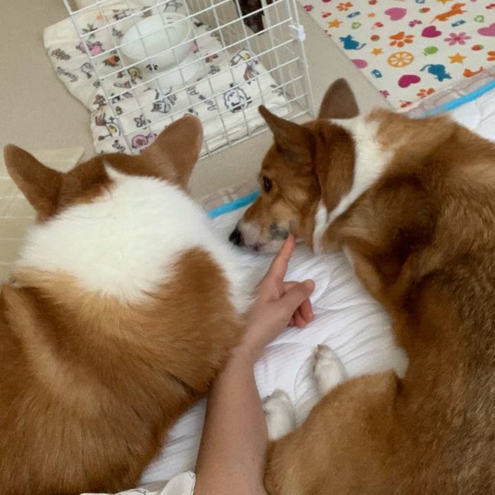 32ae0a3a 94f1 4f35 9ef2 7b049f345e6f 1690592233943